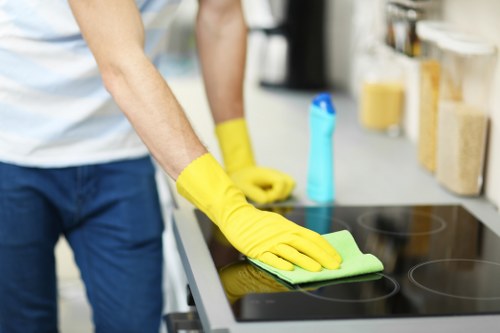 Professional steam carpet cleaning for a home in Malden Rushett
