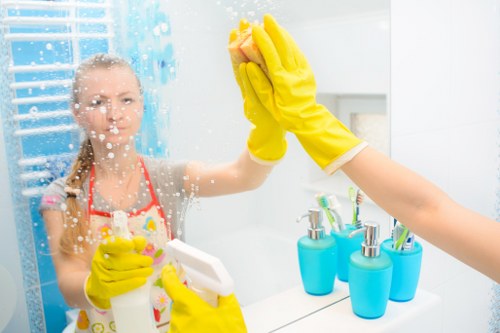 Local pet stain odour removal process for carpets and rugs in Malden Rushett