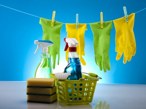 Notes and details used to assess a cleaning complaint